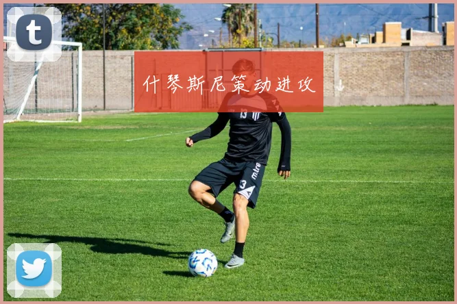 什琴斯尼策动进攻