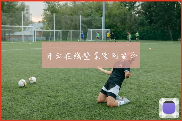 开云在线登录官网安全