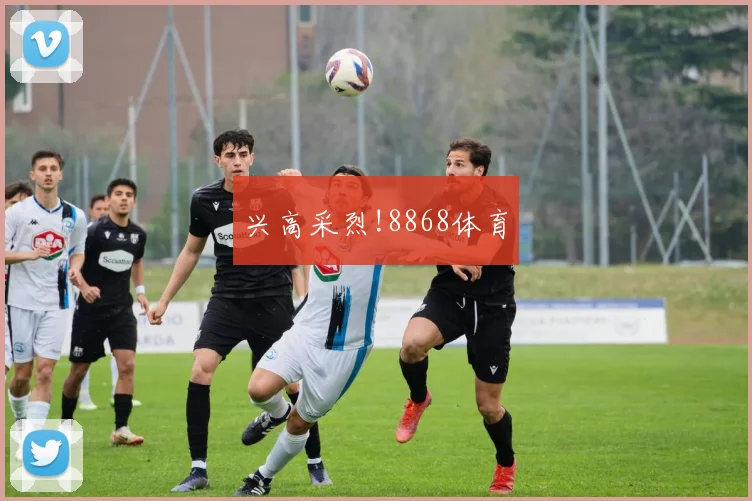 兴高采烈!8868体育