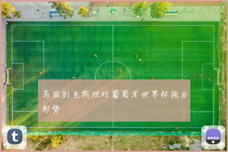 乌兹别克斯坦对葡萄牙世界杯抢分形势