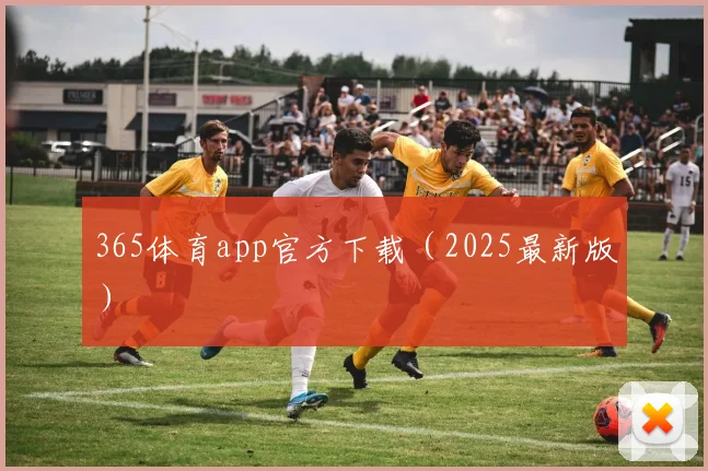 365体育app官方下载（2025最新版）