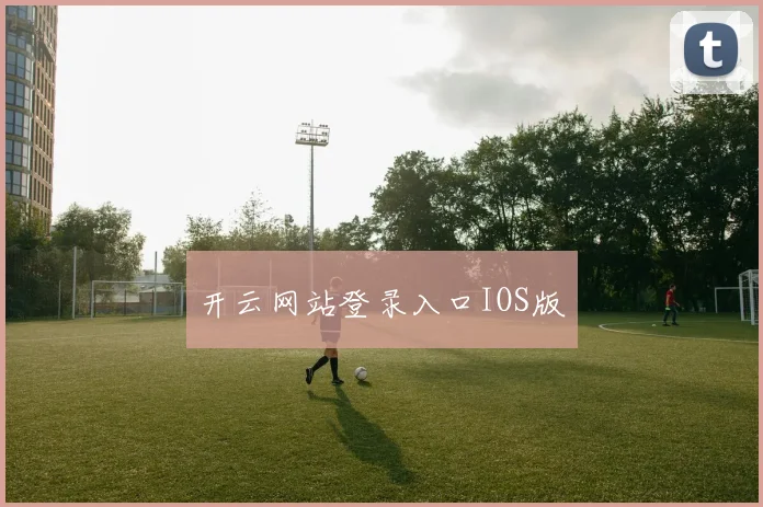 开云网站登录入口IOS版