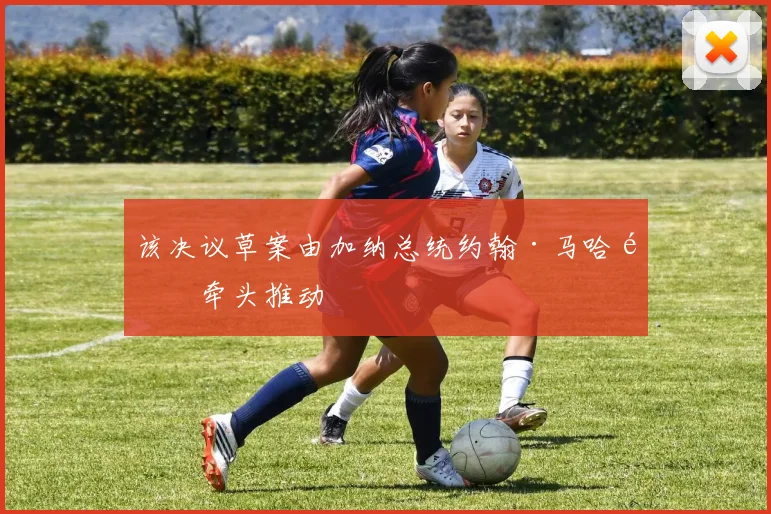 该决议草案由加纳总统约翰·马哈马牵头推动