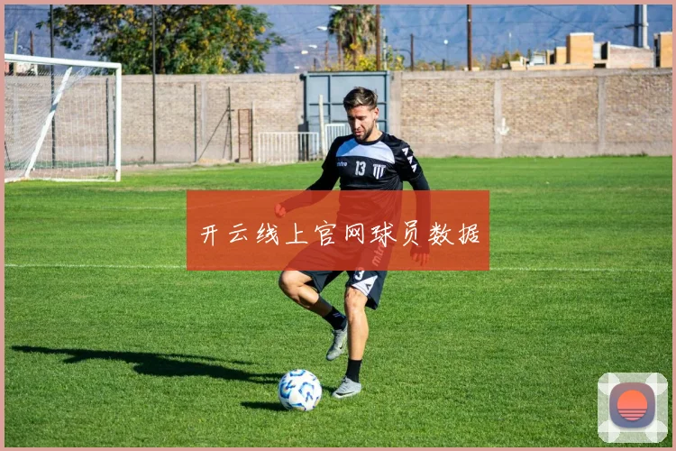 开云线上官网球员数据