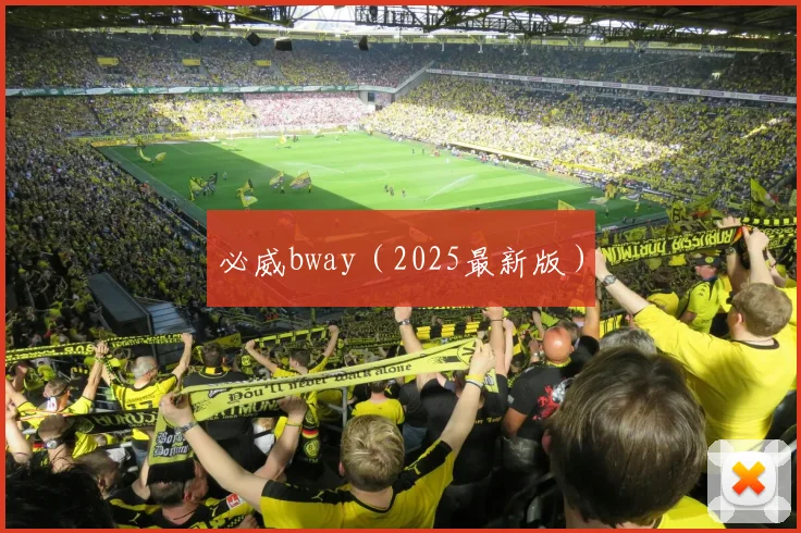 必威bway（2025最新版）