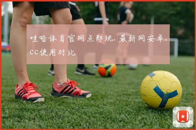 哇哈体育官网点即玩.最新网安卓.cc使用对比