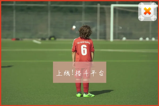 上线!格斗平台