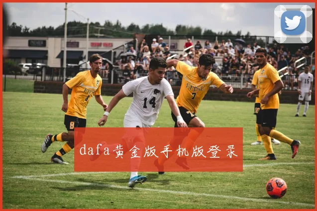 dafa黄金版手机版登录