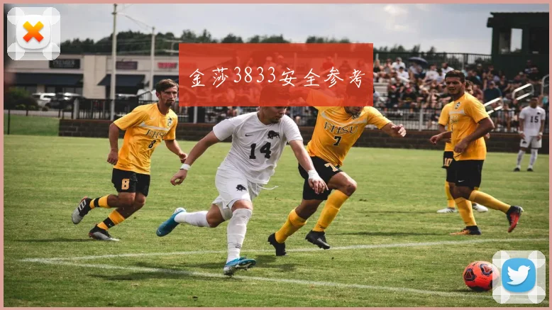 金莎3833安全参考