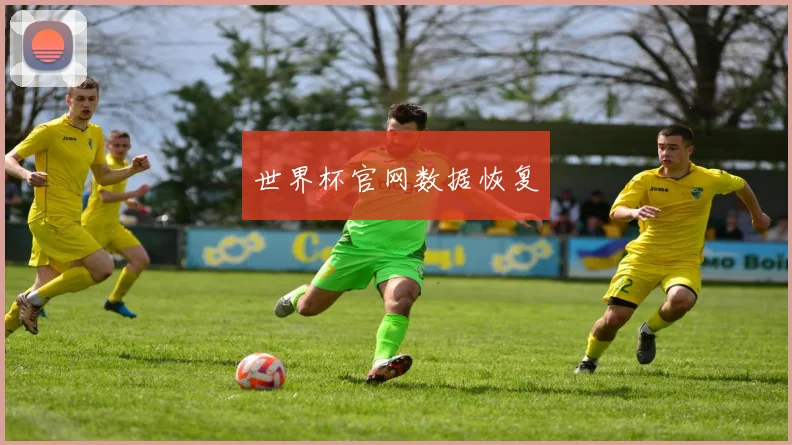世界杯官网数据恢复