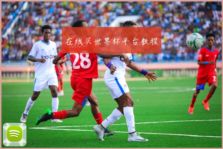 在线买世界杯平台教程