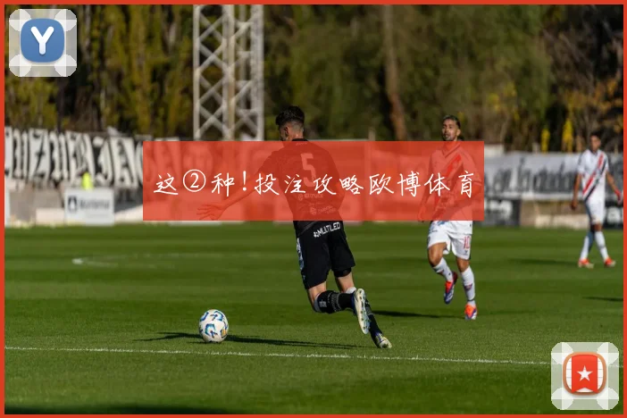 这②种!投注攻略欧博体育