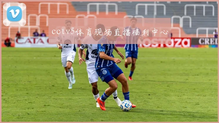 cctv5体育现场直播福利中心