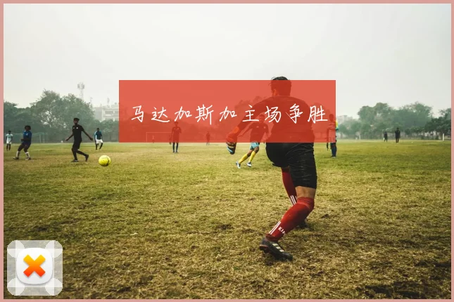 马达加斯加主场争胜