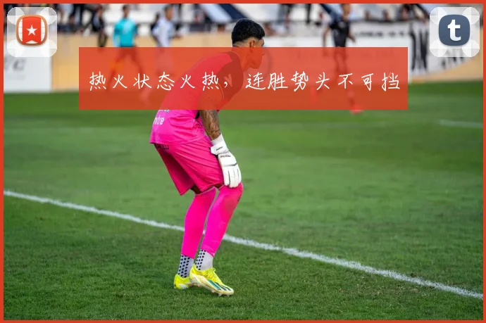 热火状态火热，连胜势头不可挡