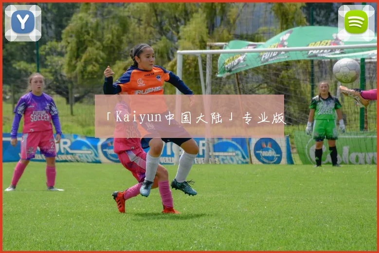 「Kaiyun中国大陆」专业版