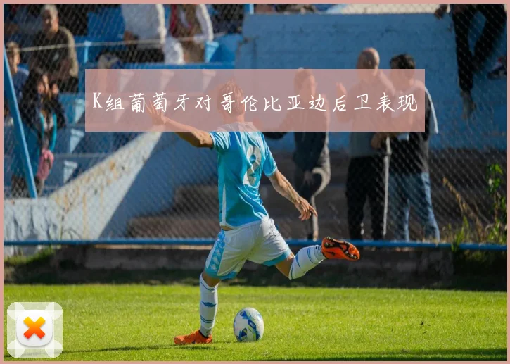 K组葡萄牙对哥伦比亚边后卫表现