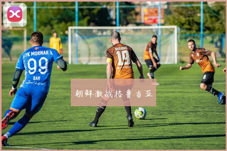 朝鲜激战格鲁吉亚