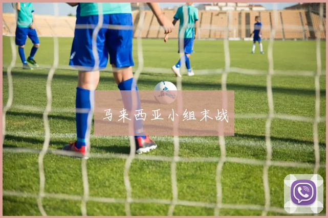 马来西亚小组末战