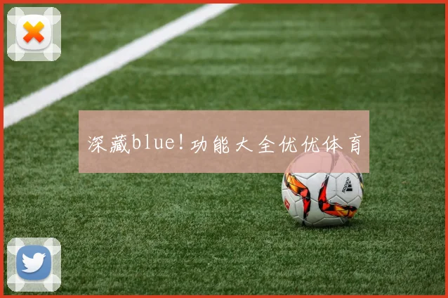 深藏blue!功能大全优优体育