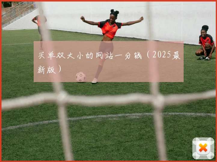 买单双大小的网站一分钱（2025最新版）