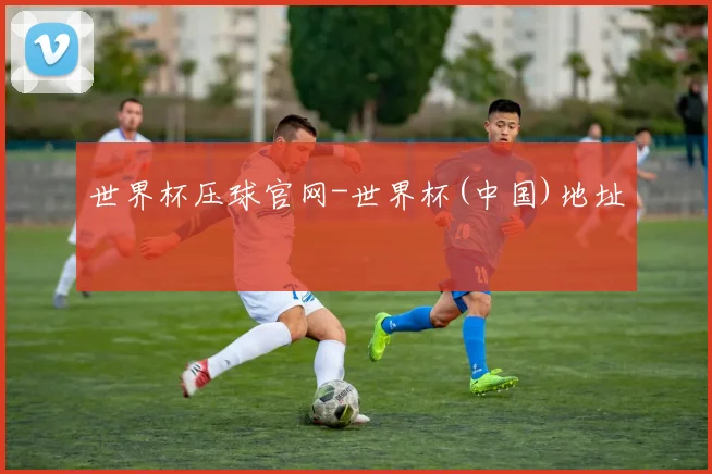 世界杯压球官网-世界杯(中国)地址
