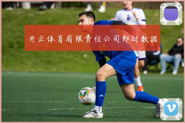 开云体育有限责任公司即时数据