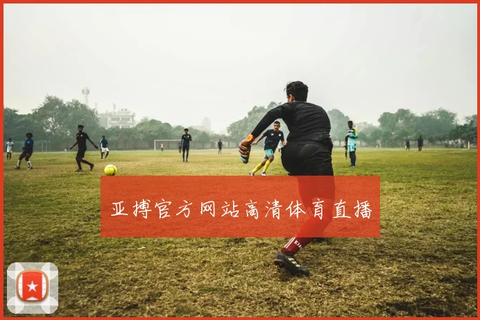 亚搏官方网站高清体育直播