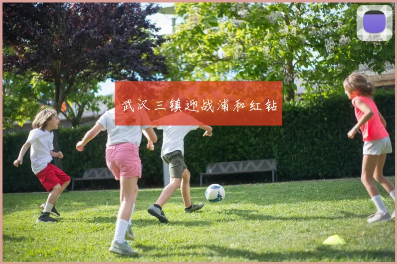 武汉三镇迎战浦和红钻