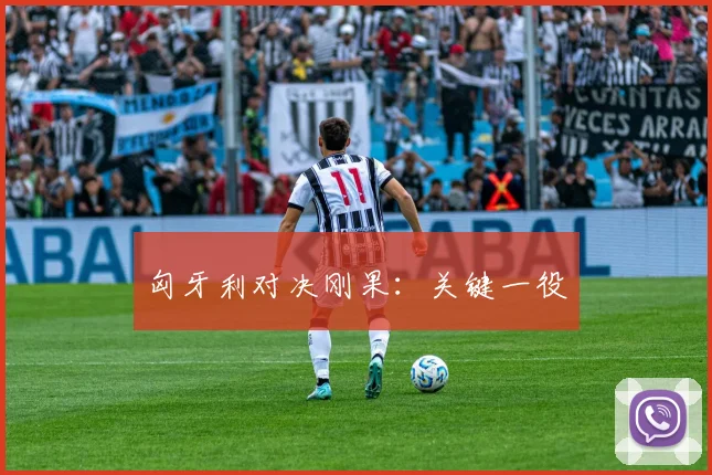 匈牙利对决刚果：关键一役