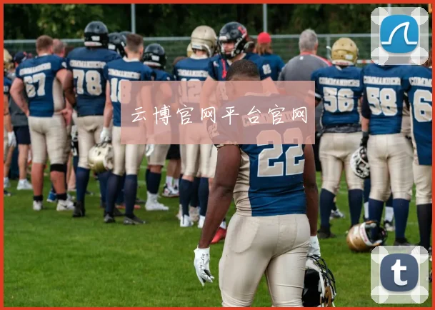云博官网平台官网