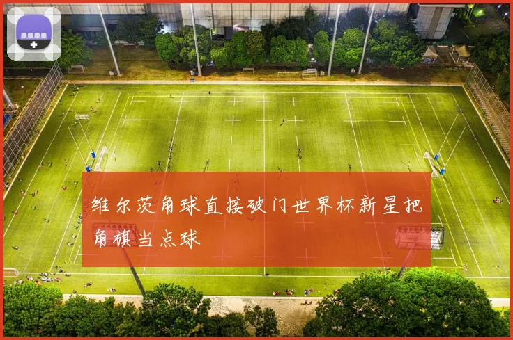维尔茨角球直接破门世界杯新星把角旗当点球