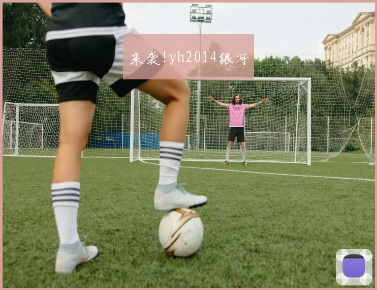 来袭!yh2014银河
