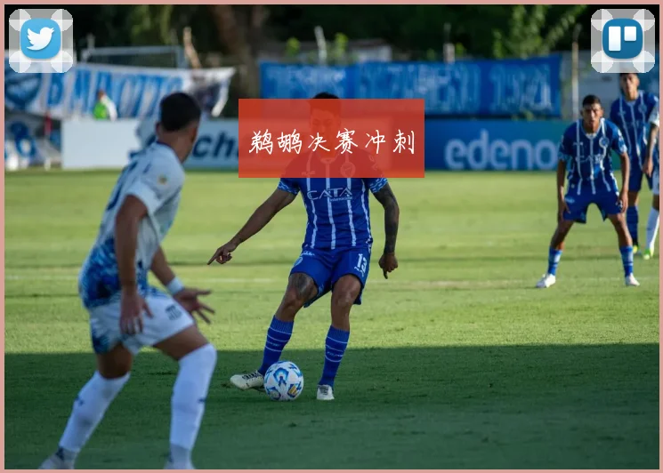鹈鹕决赛冲刺