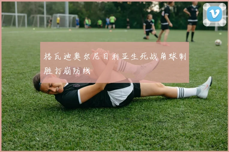 格瓦迪奥尔尼日利亚生死战角球制胜打崩防线
