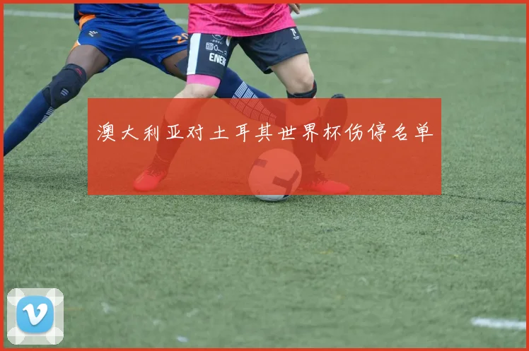 澳大利亚对土耳其世界杯伤停名单