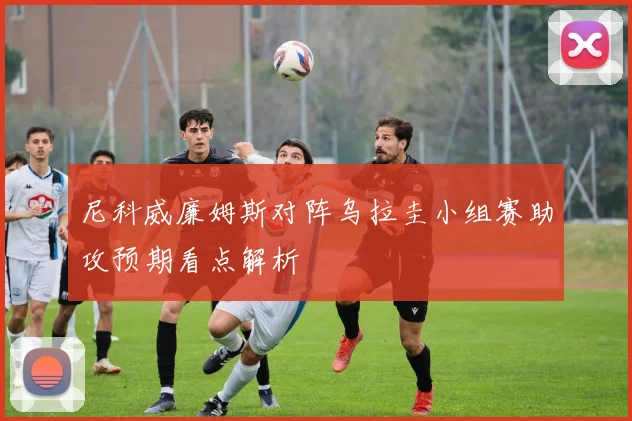 尼科威廉姆斯对阵乌拉圭小组赛助攻预期看点解析