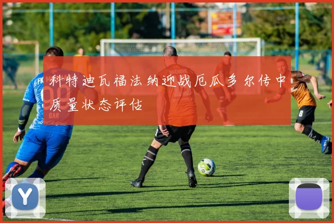 科特迪瓦福法纳迎战厄瓜多尔传中质量状态评估