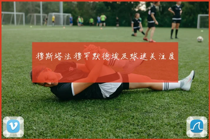 穆斯塔法穆罕默德埃及球迷关注度