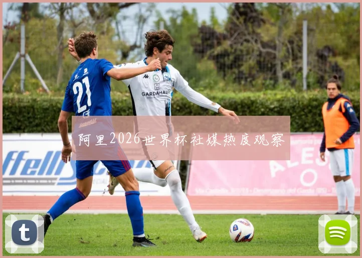 阿里2026世界杯社媒热度观察