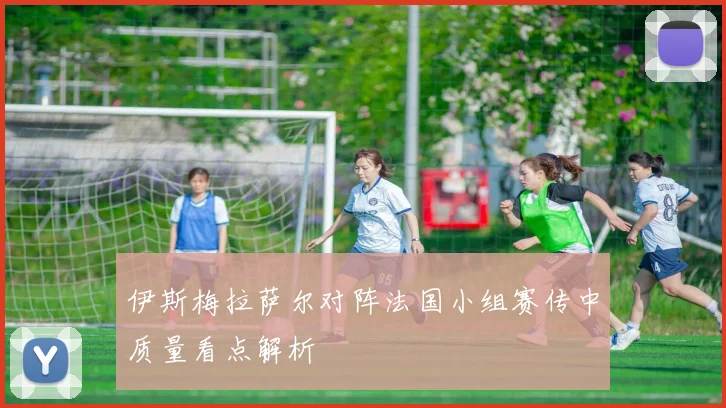 伊斯梅拉萨尔对阵法国小组赛传中质量看点解析
